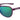 Tifosi Selca Sunglasses - Arvada Triathlon Company