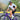 Echo Men's Short Sleeve Tri Suit