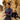 Vanguard Women's Eco Triathlon Wetsuit