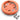 Bryton Replacement Disc - Arvada Triathlon Company