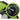 MSW FLP-100 Airlift Floor Pump - Arvada Triathlon Company