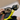 Form Smart Swim 2 Goggles - Arvada Triathlon Company